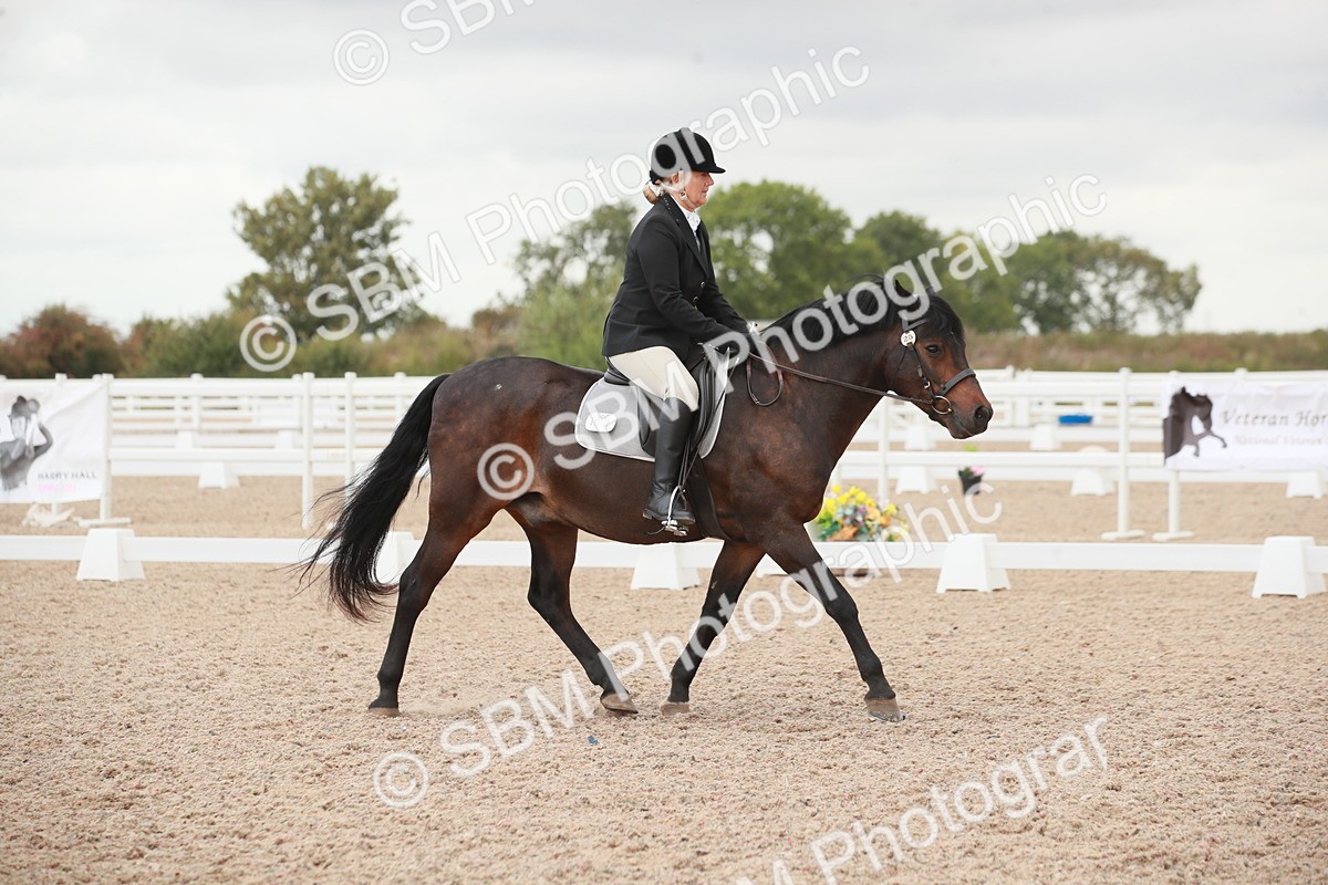 SBM_03737 - Class 31 - Prelim 1