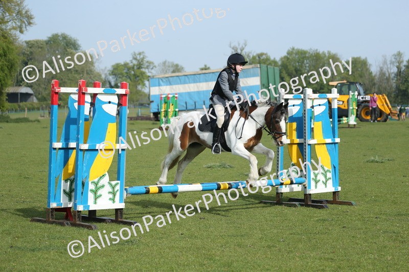 20260426-0184 - Class 13 - Rookie Jumping 50cm