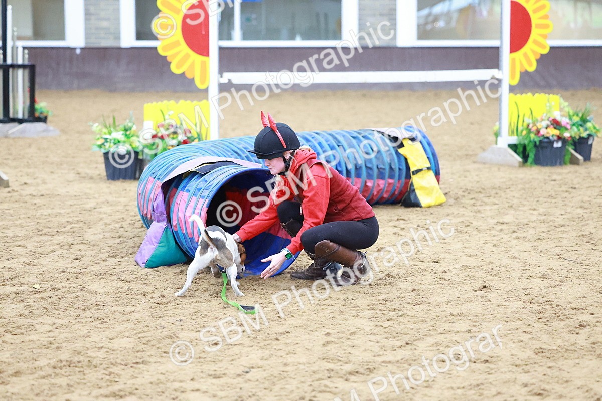 SBM_002116 - Class 3 - Horse & Hound (60cm)