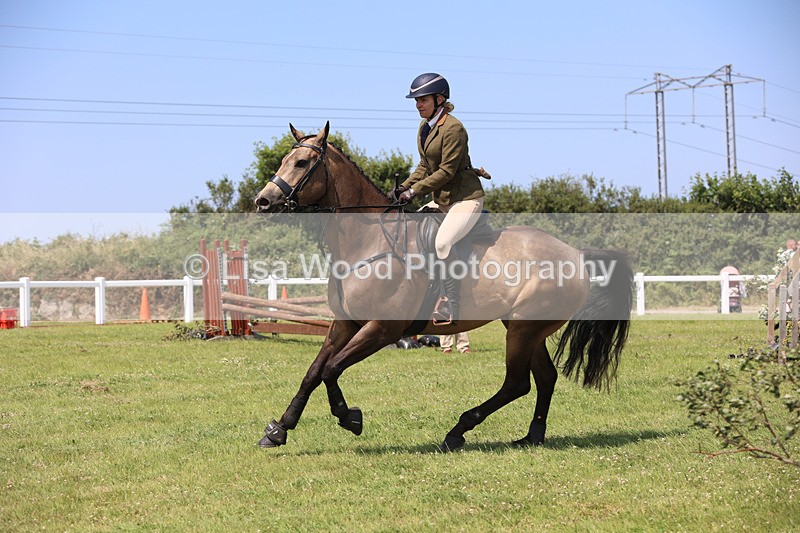 JPP_3123 - Class 22: Working Hunter 70cm