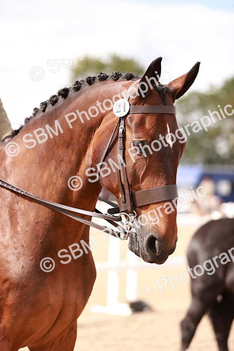 SBM_14316 - Class 408 - Grassroots Ridden -Walk & Trot
