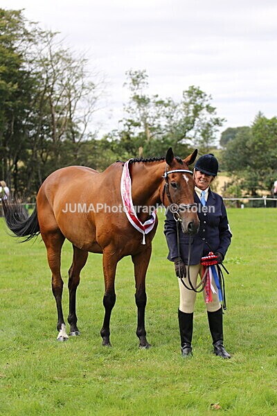 SIAL7486 - championships
