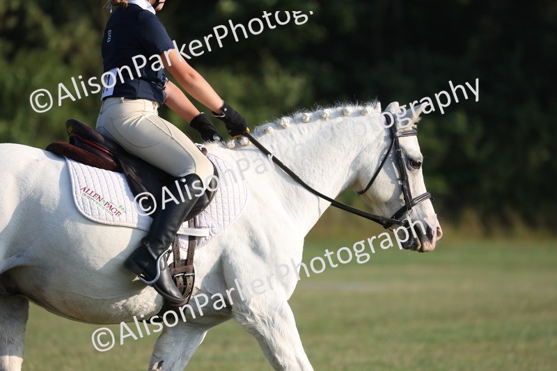 20250731-0212 - Class 2 - Prelim 3