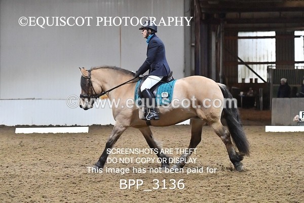 BPP_3136 - INTRO TEST 3