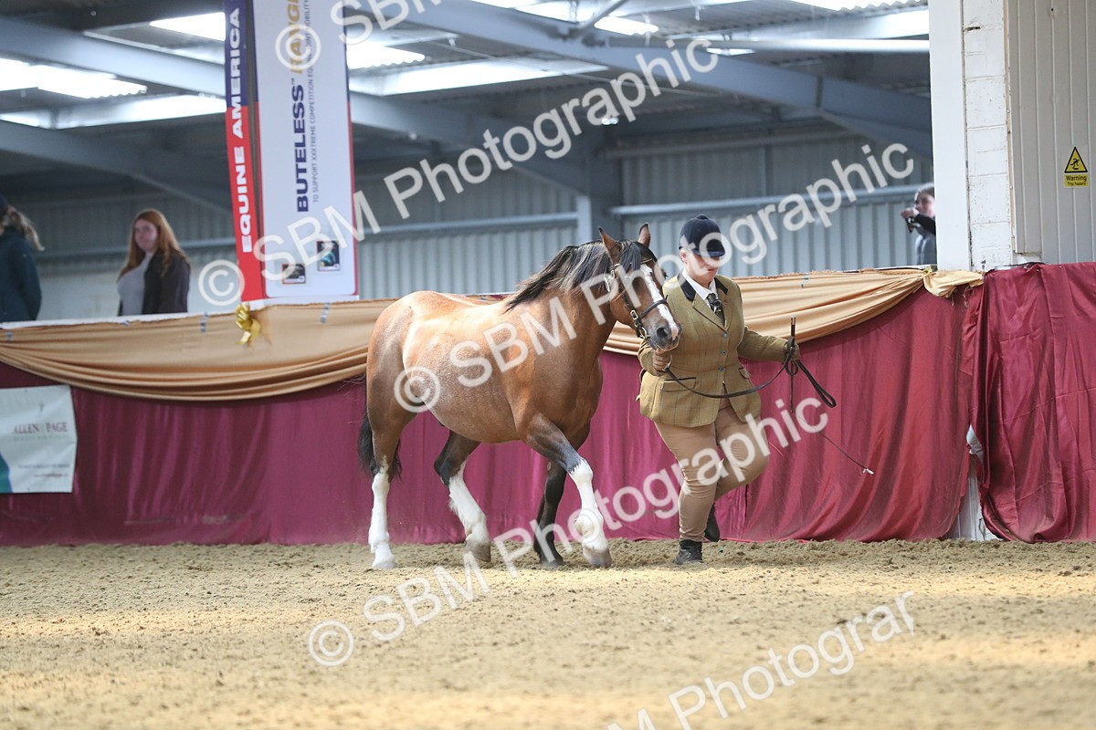 SBM_15215 - Class 501 M&M IH Supreme Final