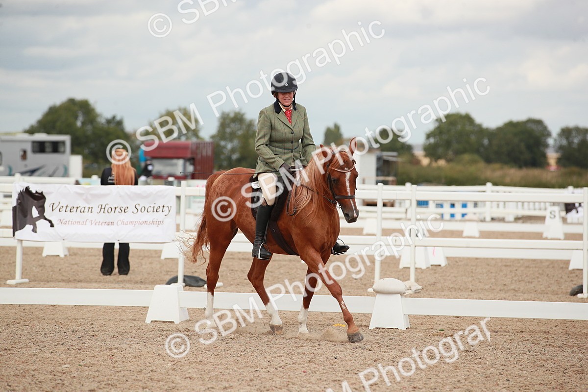 SBM_06000 - Class 32 - Novice 1