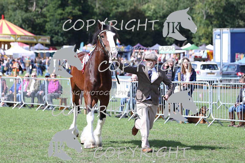 APP_3196 - Class 3 Youngstock