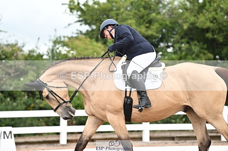 250705-175536-04321 - N2 Section BDNOV2 16.29 to 17.46