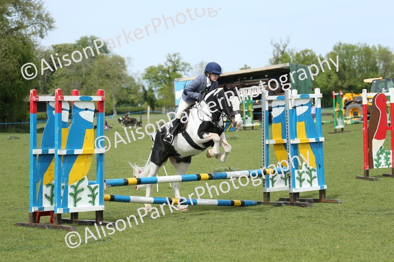20260426-2044 - Class 15 - Absolute Novice 70cm