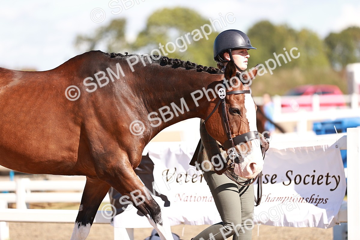 SBM_13274 - class 406 - IH Hunter