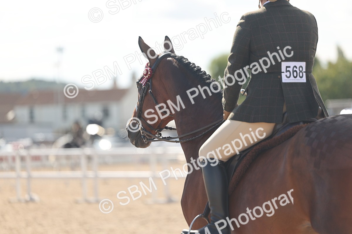 SBM_13188 - Class 306 - Ridden Foreign Breds - Part Bred