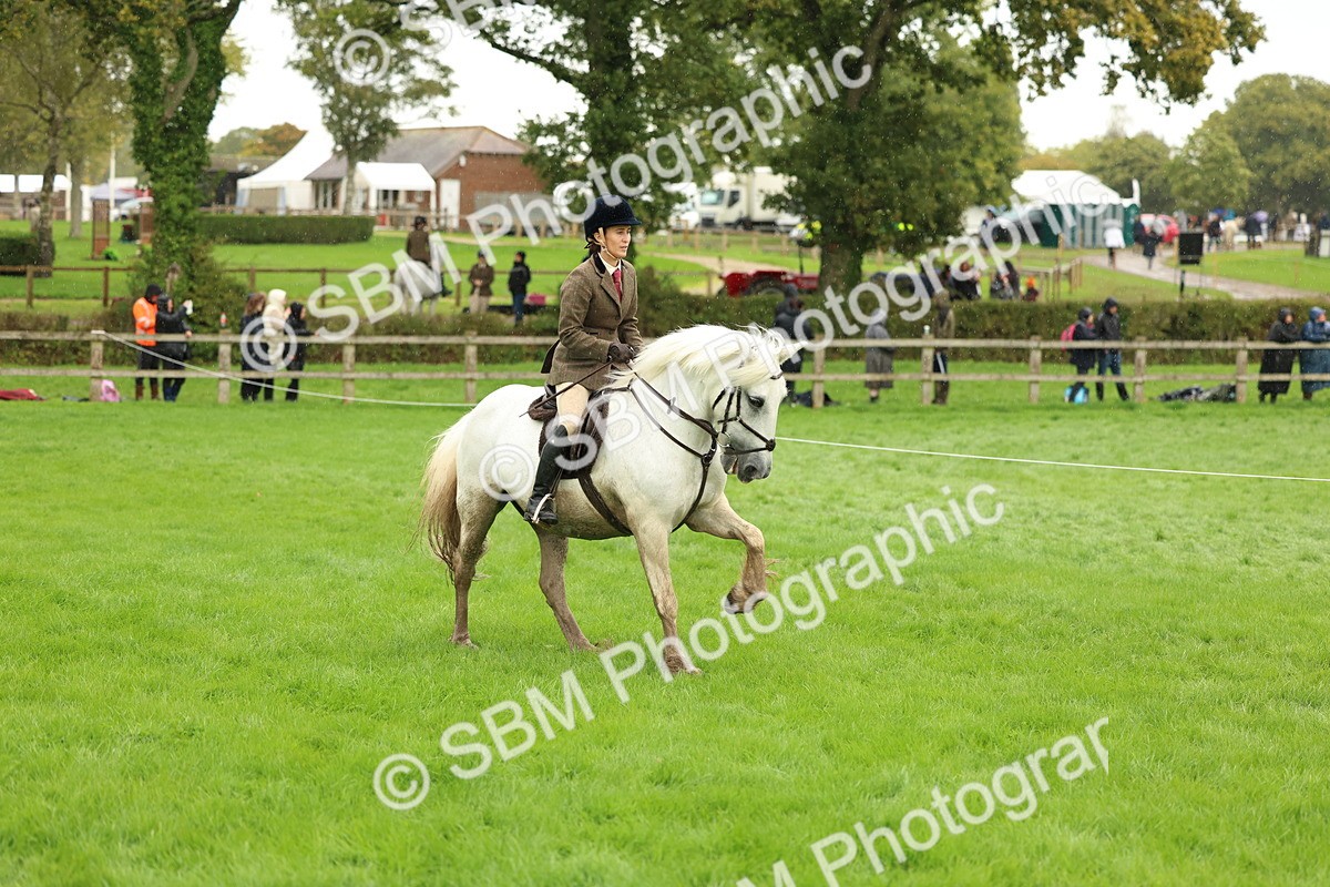 1I0A1476 - S32 - Mountain & Moorland Working Hunter Pony