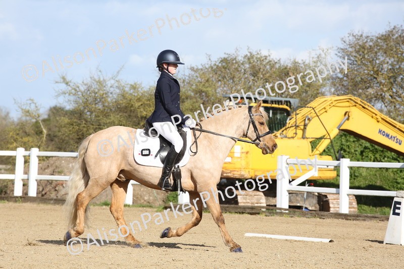 20260314-5175 - DR6 - Novice 2