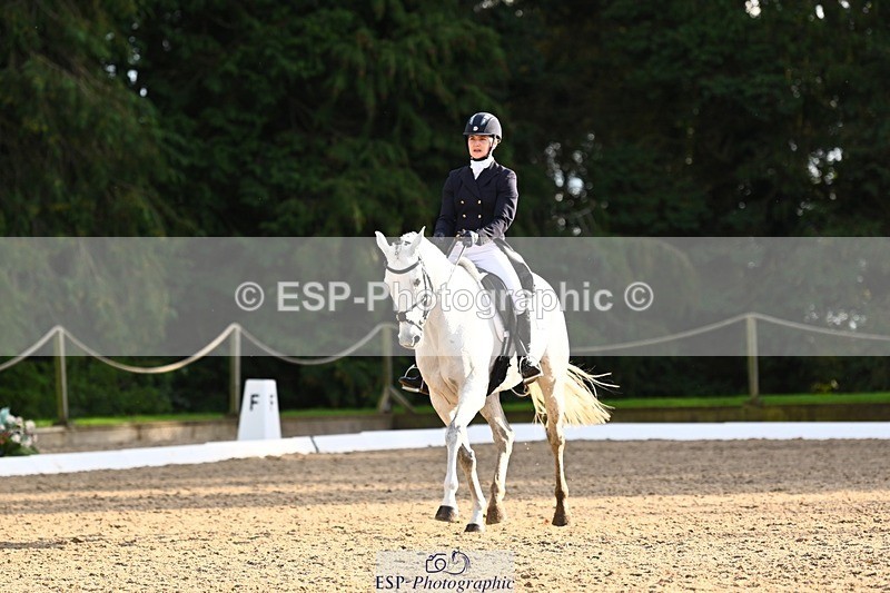 231021-155719-20972 - 262-GOOD.BOY.ALEX-Tara.Jefferies-DR