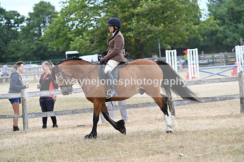 WJ7_0587 - Class 6 Ridden Mountain and Moorland