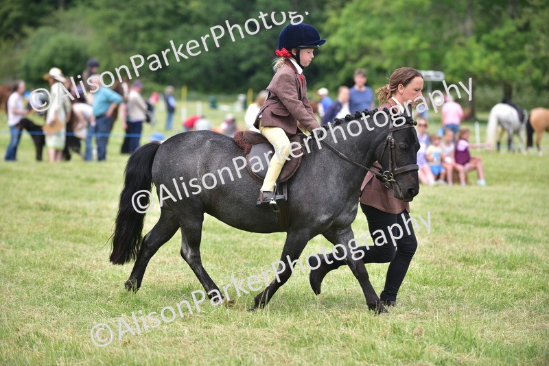 20260614-1389 - Class 11b - Lead Rein Pony (Plaited)
