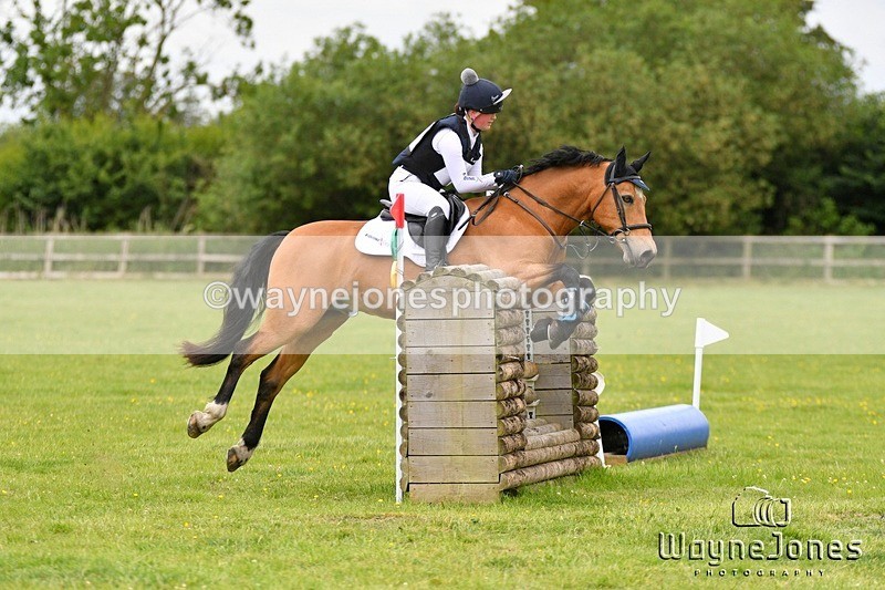 WJ5_3687 - Edited examples