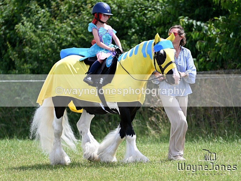 WJ7_7894 - Nancy And Churchill SORC summer show 21-06-26