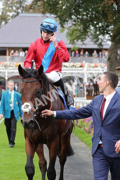 yr09102021r3-36 - Race 3 2.37pm Play Coral Racing-Super-Series For Free Handicap