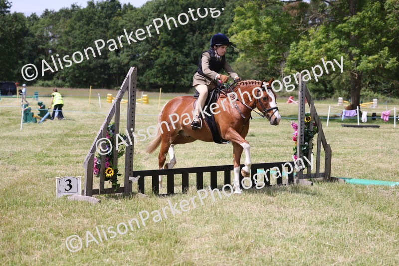 20260614-1929 - Class 21 - Novice Working Hunter Pony