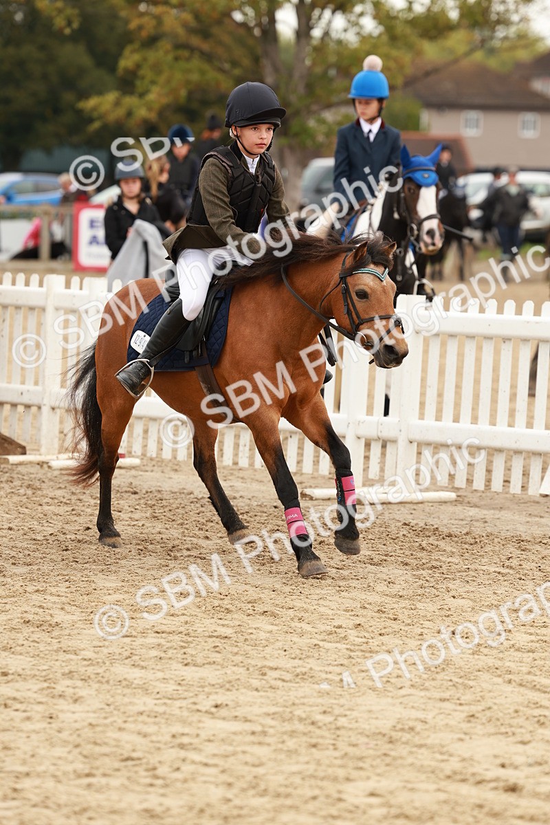 SBM_57619 - J11 - Junior Pony 50cm Championship