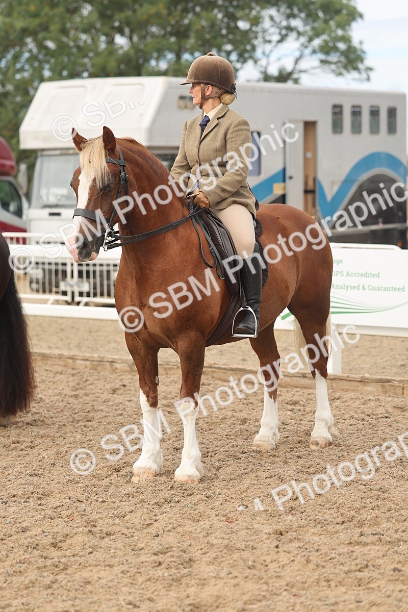 SBM_01950 - Class 14 - Ridden M&M Wildcard