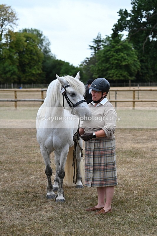 WJ7_9150 - Class 4a Prettiest Mare 14.2hh and over