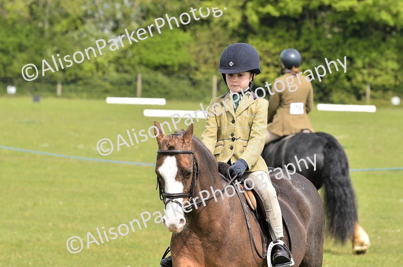 20260426-2341 - Class 20 - Beginner Working Hunter