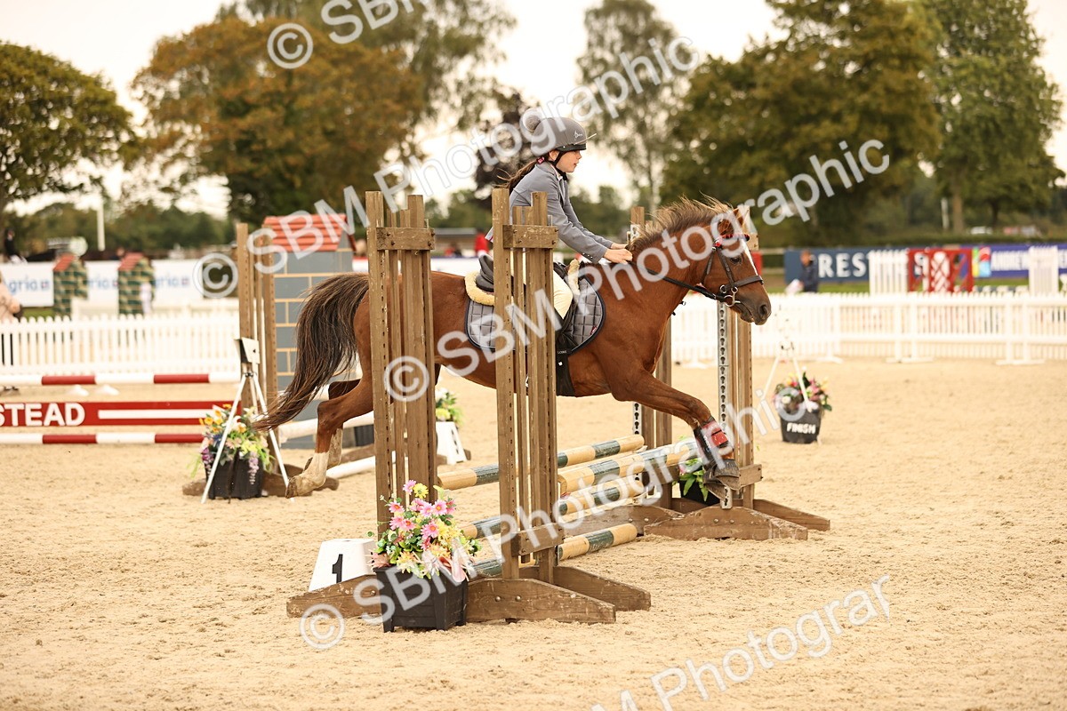 SBM_74278 - J14 - Junior Pony 65cm Championship