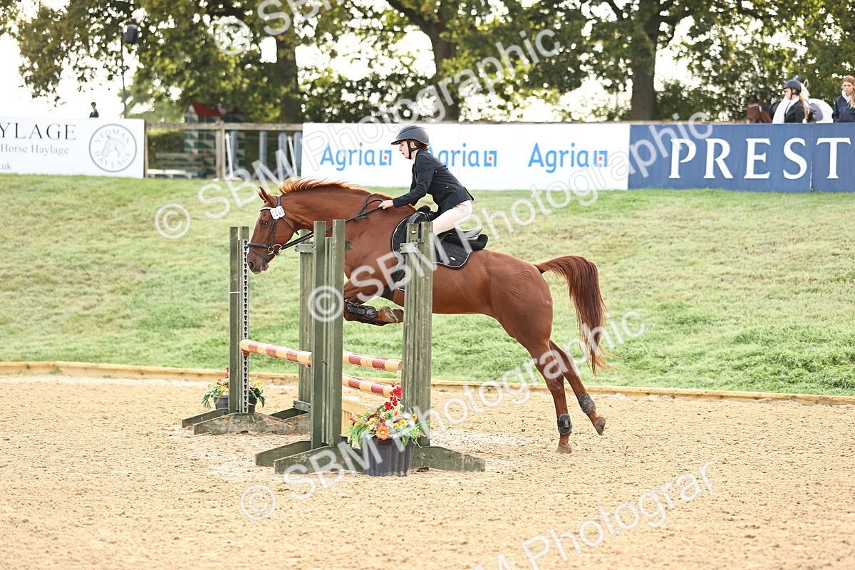 SBM_55105 - J62 - Clear Round 90cm