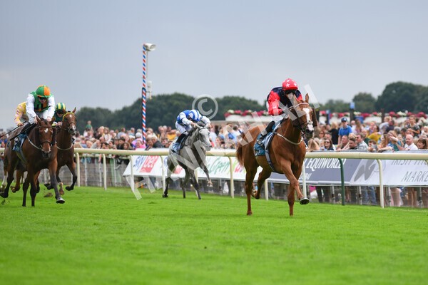 yr04092022r5-36 - Race 5 4.05pm Little Green Rascals Children's Nurseries Stakes