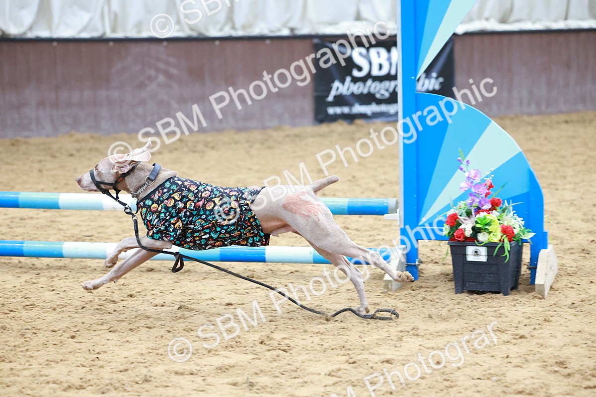 SBM_001750 - Class 3 - Horse & Hound (60cm)