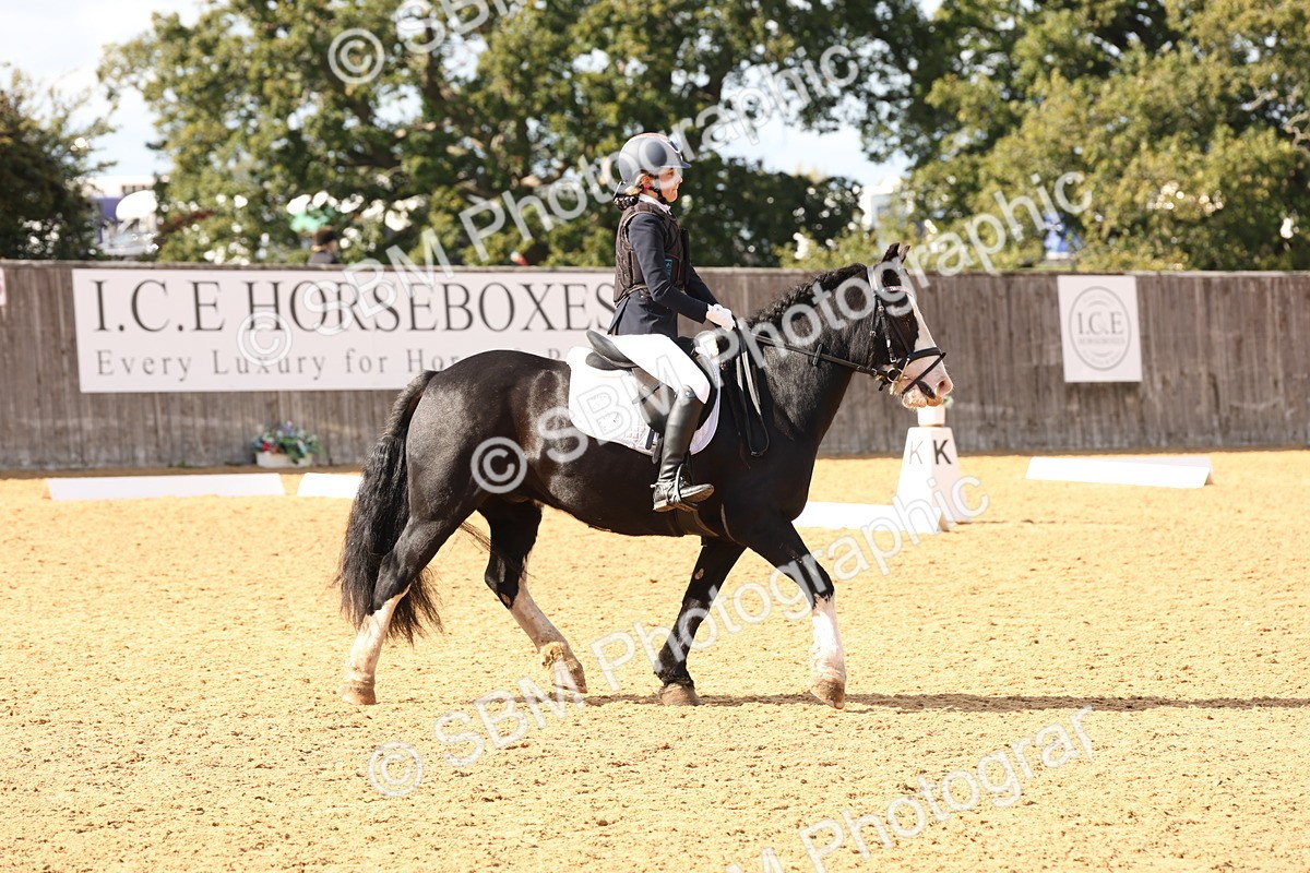SBM_47491 - D12 - Small Tour Championship prelim 2