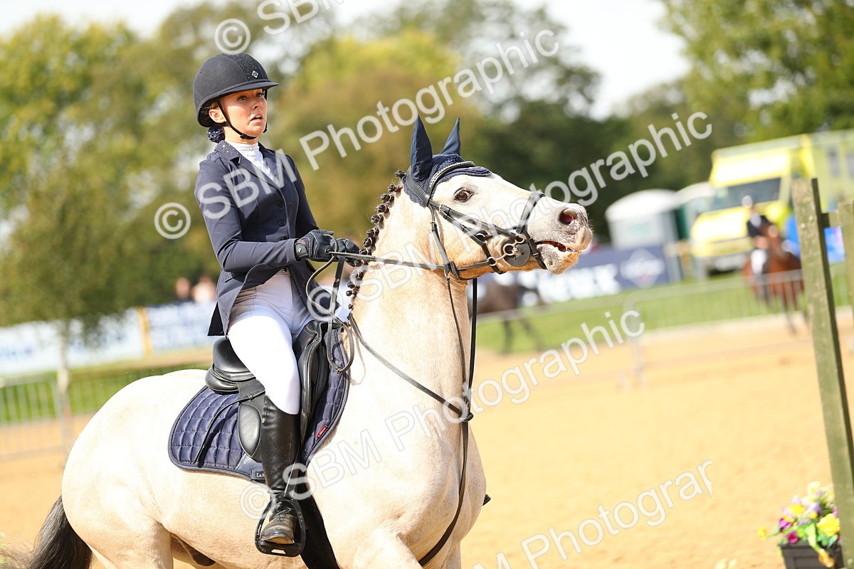 SBM_66114 - J17 - Junior Pony 80cm Championship