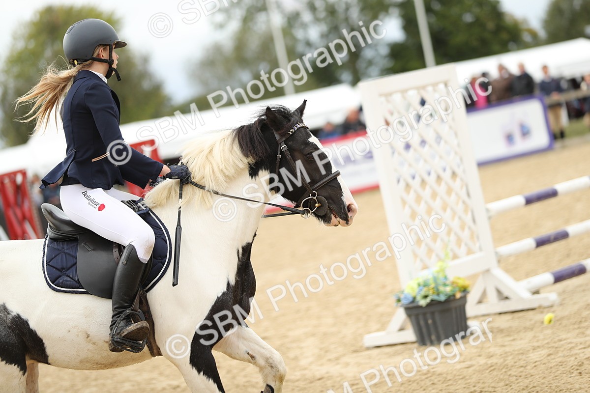 SBM_67574 - J15 - Junior Pony 70cm Championship
