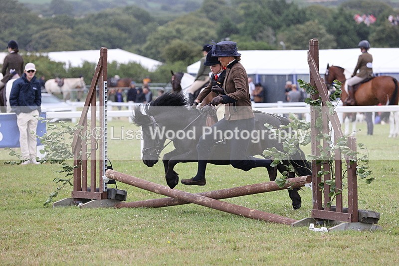 JPP_1726 - Class 18: Tiny Tots Working Hunter Pony