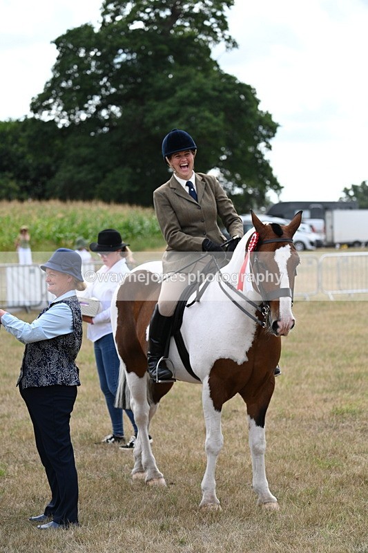 WJ7_5528 - Class 12 Ridden Cob