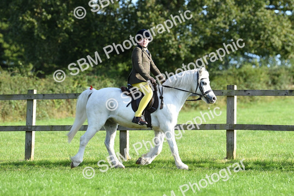 SBM_53985 - S23 - 1st Ridden Mountain & Moorland Pony