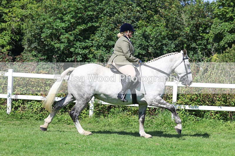 3E7A8375 - Class 4: Novice working Hunter
