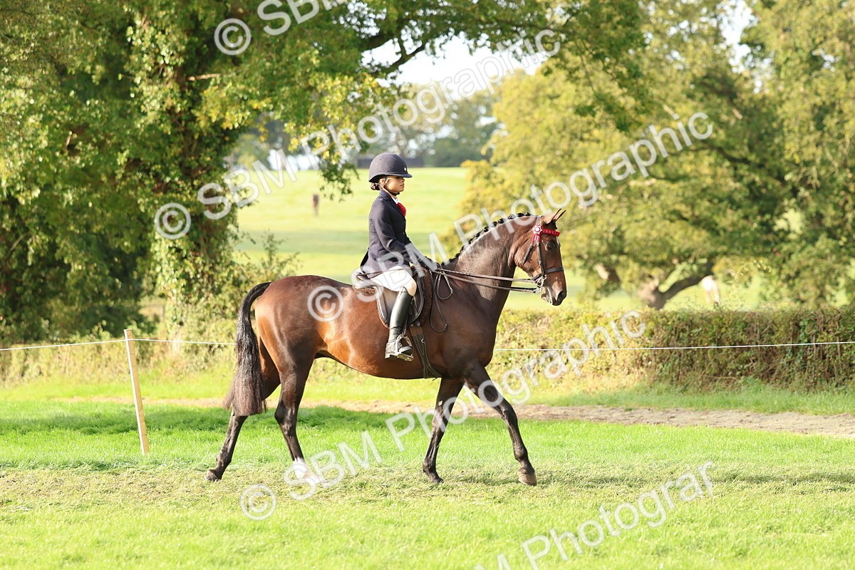 SBM_56527 - S40 - Starters Ridden Showing