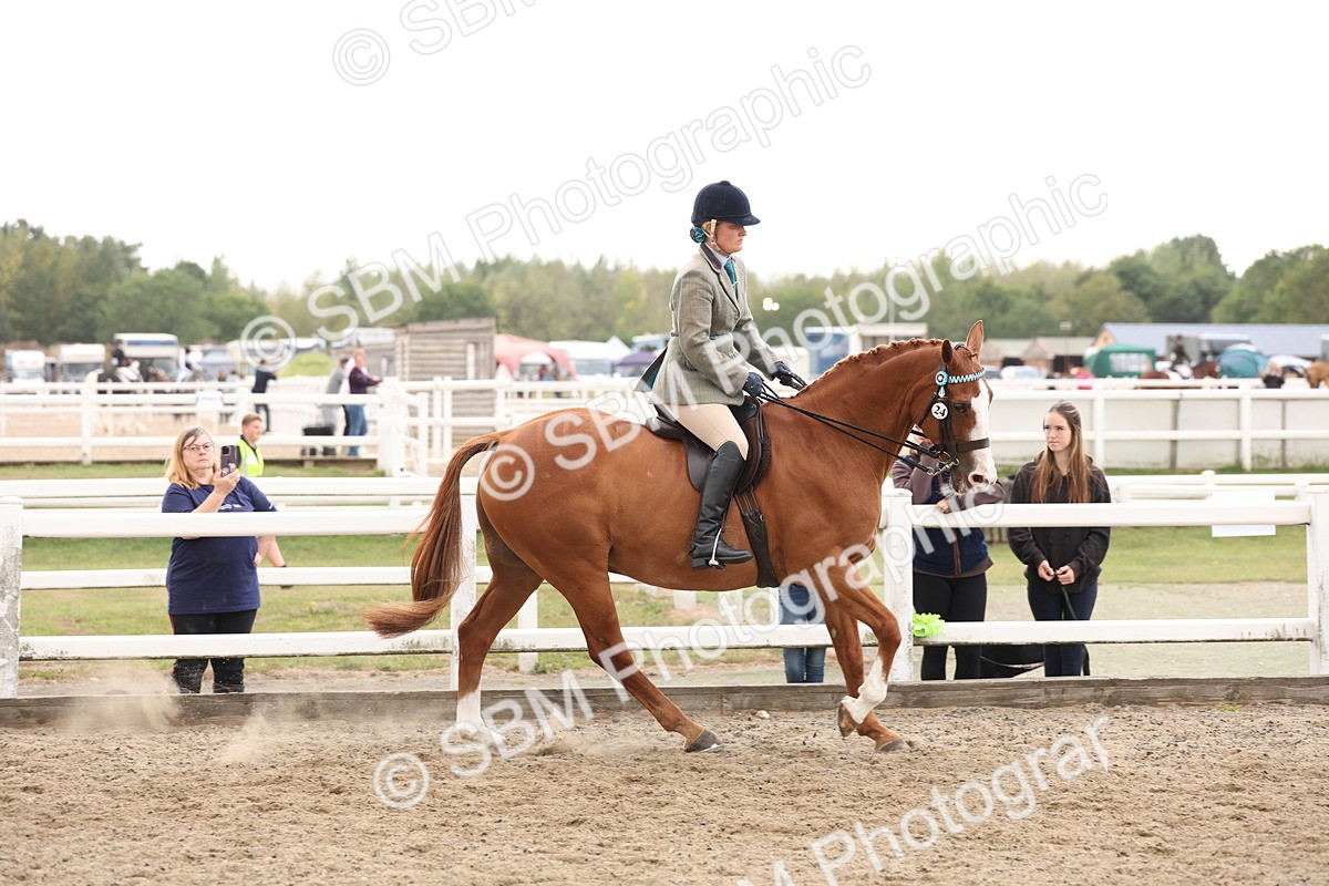 SBM_04195 - Class 54 - Riding Club Horse/Pony