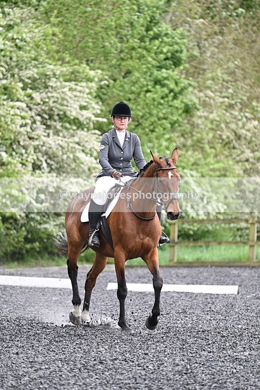 WJ7_1175 - Time 14:16 to 14:55