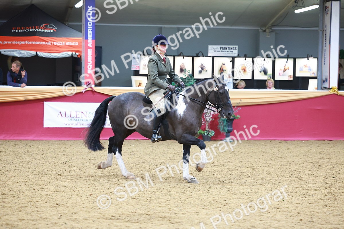 SBM_06154 - Class 12R - Ridden Pre-Vet