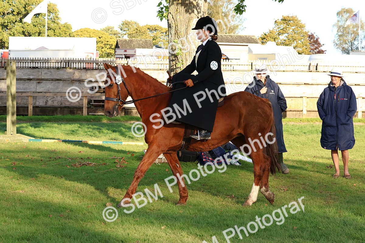 SBM_53056 - S29 - Mature Veteran Ridden