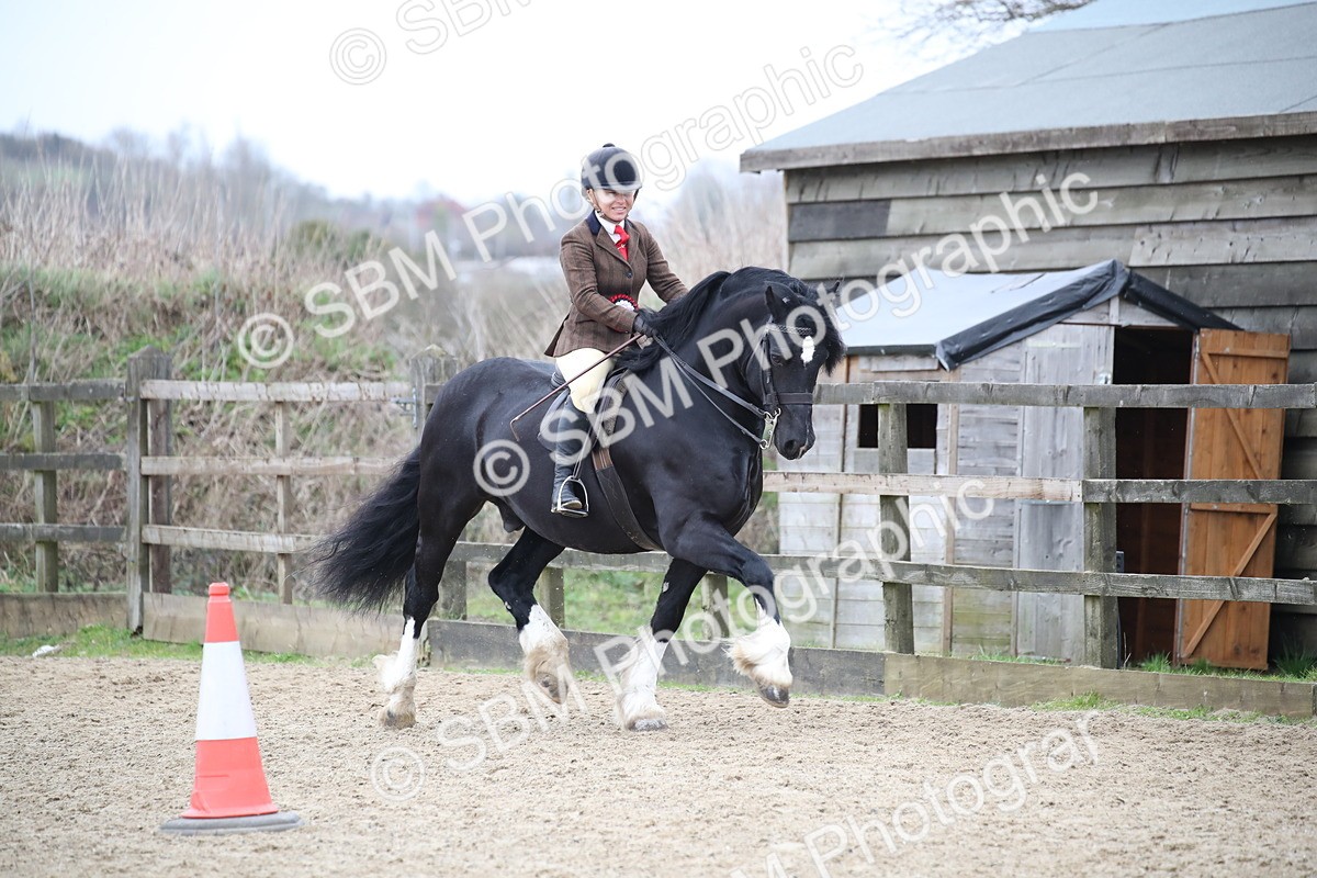 SBM_006459 - Class 10-13 - RIHS Small Large Breeds