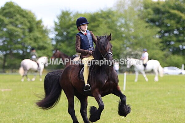 IMG_3257 - Working Hunter