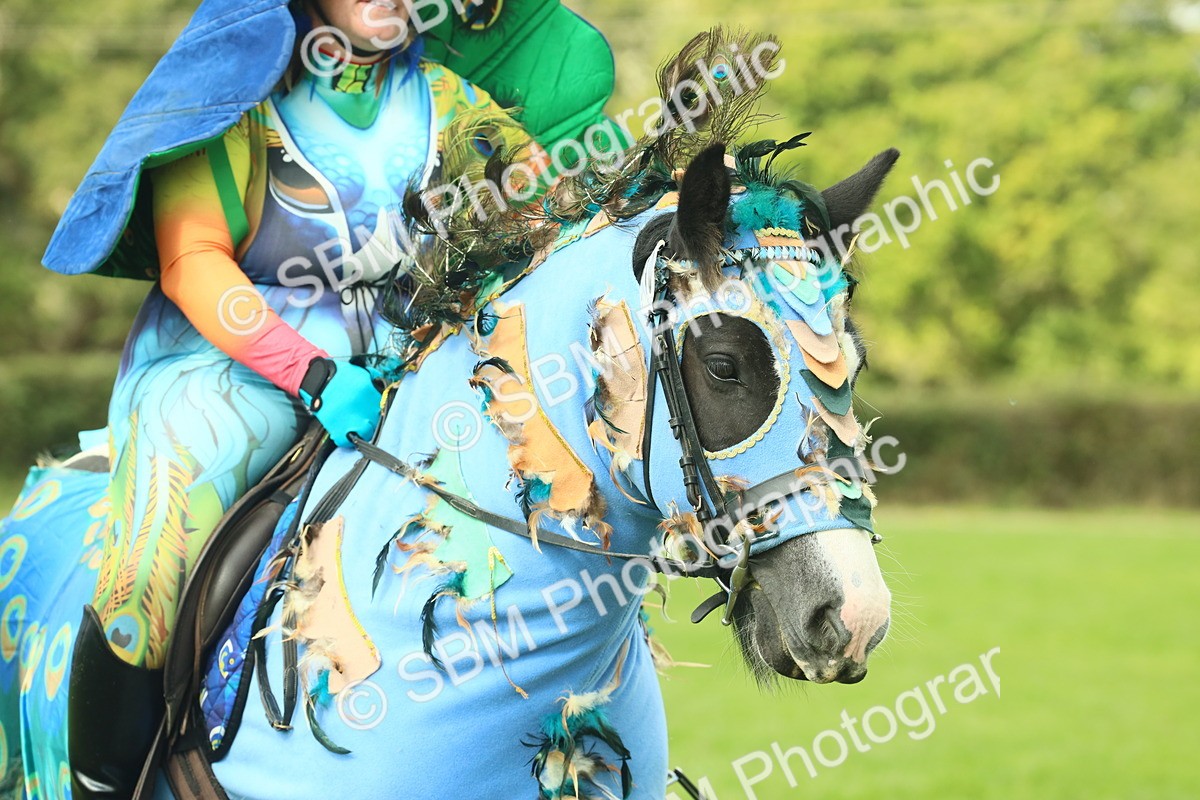 SBM_63620 - S35 - Fancy Dress Showing