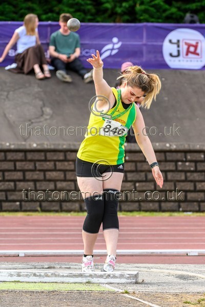 Sen25SUN-929727 - Field Female Set Two