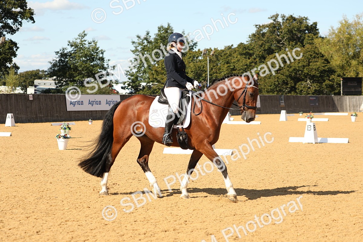 SBM_24515 - D17 - Grand Tour Championship - Novice 27