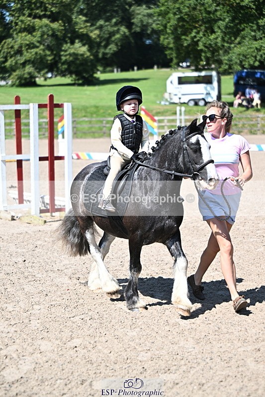 240729B-111946-02319 - Showjumping Competition